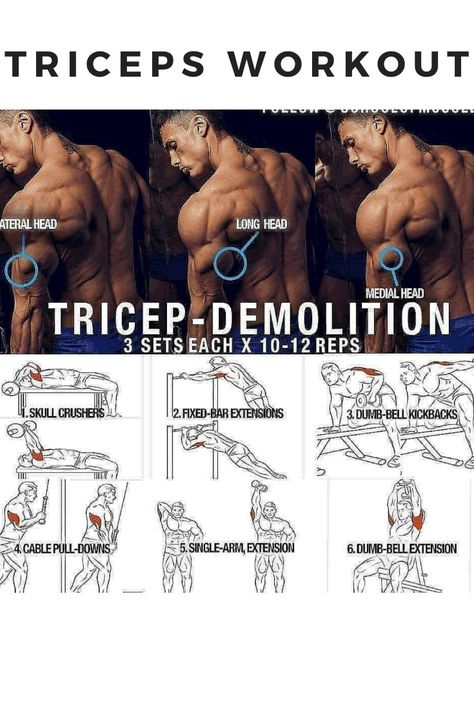 Tricep Workout Men At Home With Dumbell, Tricep Lateral Head Workout, Tricep Workout Men Dumbell, Tricep Muscle Anatomy, Inner Tricep Workout, Tricep Dumbell Workout For Men, Barbell Tricep Workout, Trishape Workout, Tricep Long Head Workout