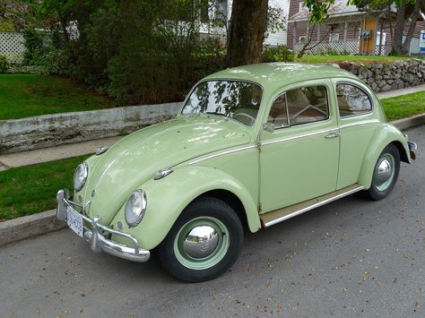 Herbie was a 1962 VW Beetle in The Love Bug Green Bug Car, Van Volkswagen, Green Bug, Green Cars, Volkswagen Beetle Convertible, Retro Auto, Bug Car, Old Vintage Cars, Beetle Car