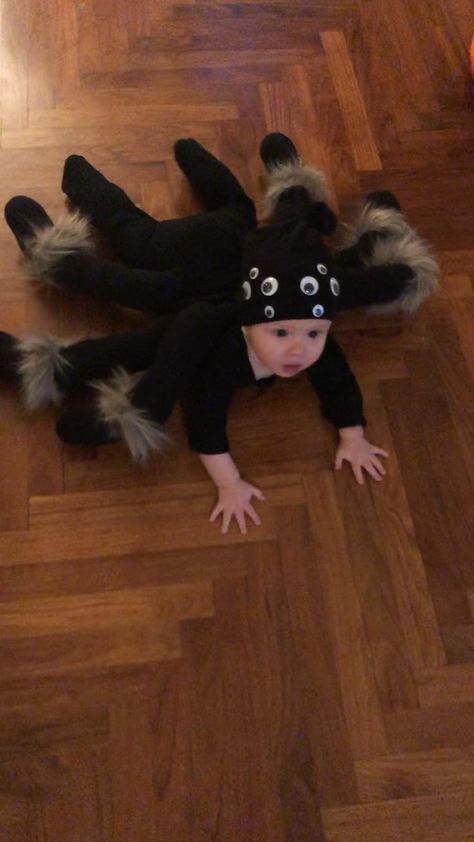 Fantasia Halloween Bebe, Baby Costumes Diy, Baby Spider Costume, Diy Animal Costume, Animal Costumes Diy, Baby Cat Costume, Freehand Crochet, Baby Animal Costumes, Funny Baby Costumes