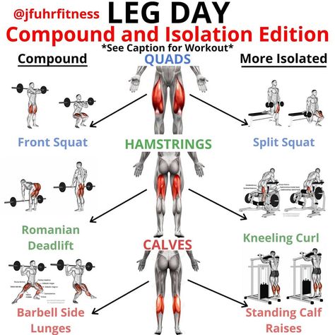 Gym Leg Day, Leg Press Workout, Leg Workouts For Men, Full Leg Workout, Leg Workouts Gym, Workout Gym Routine, Leg Workout Routine, Workout Program Gym, Calf Exercises