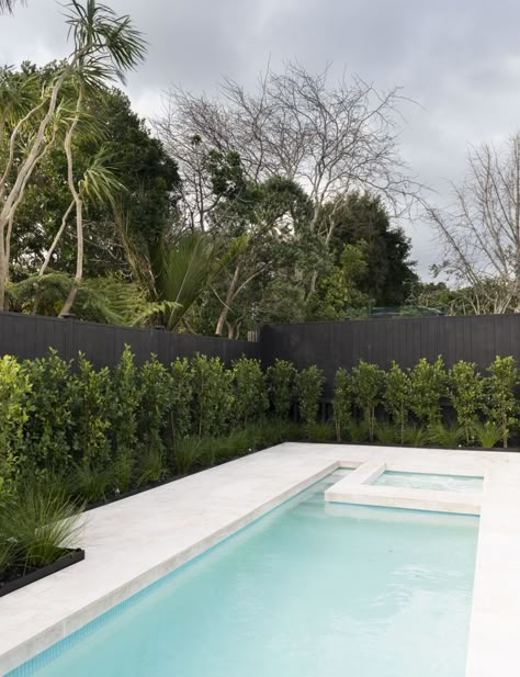 Tropical Pool Landscaping, Kleiner Pool Design, Pool Plants, Piscina Interior, Outdoor Pool Area, Swimming Pool Landscaping, Pool Landscape Design, Pool Colors, Tropical Pool