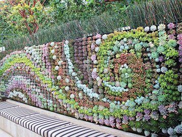 Wall Planter Ideas, Living Wall Design, Living Plant Wall, Garden Landscaping Design, Succulent Outdoor, Plant Walls, Succulent Wall Garden, Succulent Wall Planter, Moss Walls