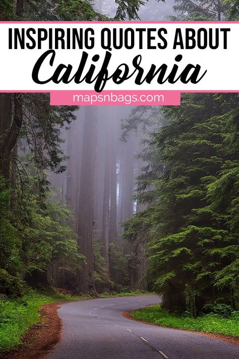 Looking for epic quotes about California? Check out our all-time FAVORITE California quotes, including the best California Instagram captions too. | California quotes | cali girl quotes | california quotes lyrics | los angeles quotes | california quotes for instagram | west coast quotes #mapsnbags #california Coast Quotes, Los Angeles Quotes, Los Angeles Quote, California Quotes, Most Inspirational Quotes, Short Travel Quotes, Los Angeles Parks, Weekend In London, Quotes Couple