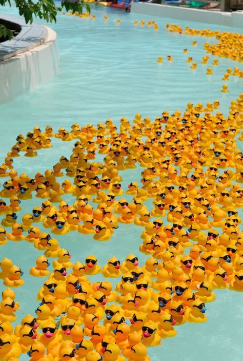 I will be rich enough to have a giant pool. And I WILLA fill it with duckies Duck Wallpaper, Rubber Duckies, Rubber Ducks, Yellow Wall, Yellow Walls, Photo Wall Collage, Rubber Ducky, Yellow Aesthetic, Aesthetic Colors