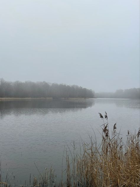 Cracks 2009, Foggy Forest Landscape, Foggy Lake, Lake Dock, Winter Lake, Water Pond, Foggy Forest, Nature Hikes, Small Ponds