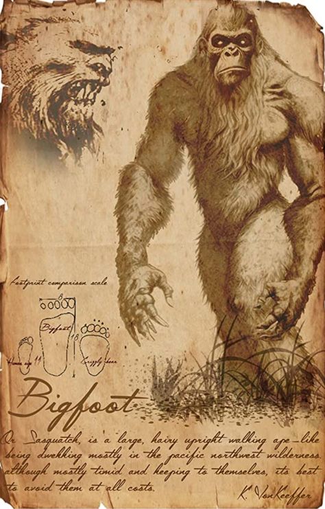 Cryptid List, Real Bigfoot Pictures, Bigfoot Drawing, Bigfoot Pictures, American Folklore, Bigfoot Art, Folklore Art, Myths & Monsters, Book Page Art