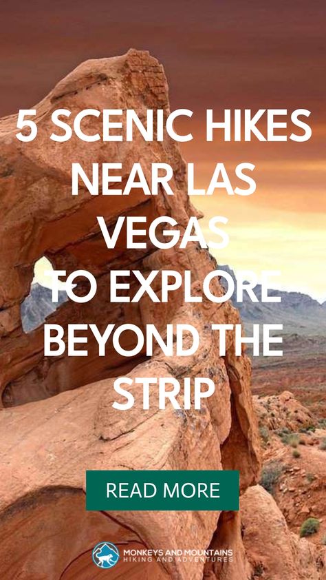 While Las Vegas is famed for its glitz and glamour, just beyond the city lies a world of incredible hiking trails waiting to be discovered. From serene desert landscapes to stunning canyon views, these hikes offer a refreshing escape from the bustling city. Perfect for outdoor enthusiasts, these trails showcase the natural beauty surrounding Las Vegas. Plan your adventure today and experience the best hiking near Las Vegas! #lasvegas #usa #hiking #dayhikes #hikingadventure #hikingaesthetic #cany Hikes Near Las Vegas, Usa Hiking, Zabriskie Point, Visit Las Vegas, Desert Landscapes, Hiking Aesthetic, Bustling City, Glitz And Glamour, Valley Of Fire