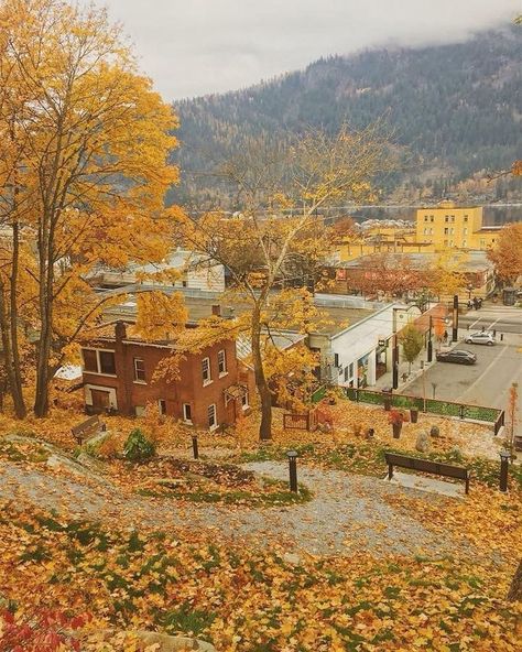 Destination British Columbia on Instagram: “Set on the West Arm of sapphire-blue Kootenay Lake in southeastern BC’s Selkirk Mountains, Nelson is often called one of Canada’s prettiest…” Nelson Bc, Just Tell Me, Small Town Life, Victorian Architecture, Mountain Town, British Columbia Canada, British Columbia, Fall Vibes, Small Towns