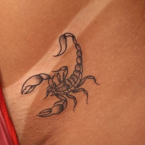 Scorpio Tattoo, Scorpion Tattoo, Pretty Tattoos For Women, Weird Tattoos, Stylist Tattoos, Hot Tattoos, Tattoo Meaning, Aesthetic Tattoo, Sleeve Tattoos For Women