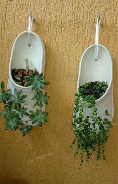 Kaktus Dan Sukulen, Pinterest Garden, نباتات منزلية, Recycled Garden, House Plants Decor, Diy Garden Projects, Diy Plants, Recycled Crafts, Garden Crafts