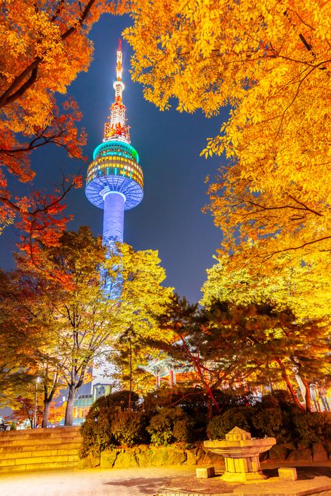 N Seoul Tower, Seoul Night, Seoul Tower, Autumn In Korea, South Korea Photography, Seoul Korea Travel, Tower Falling, Seoul City, Beautiful Scenery Photography