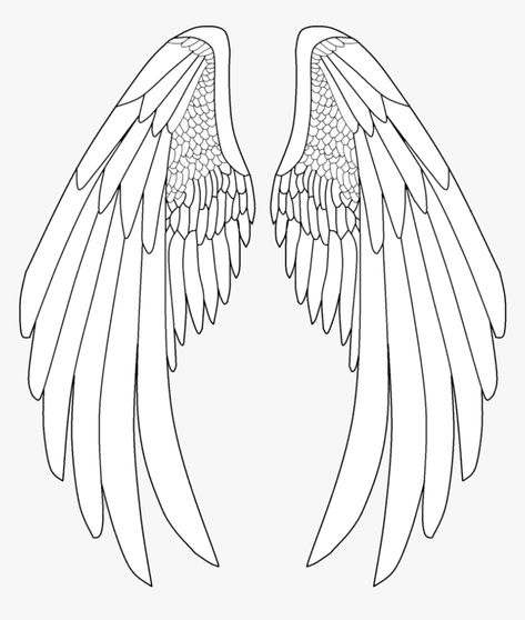 Anime Angel Wings, Drawing Angel, Angel Wings Png, Wings Sketch, Angel Wings Drawing, Wings Png, Angel Wings Art, Wing Tattoo Designs, Wings Drawing