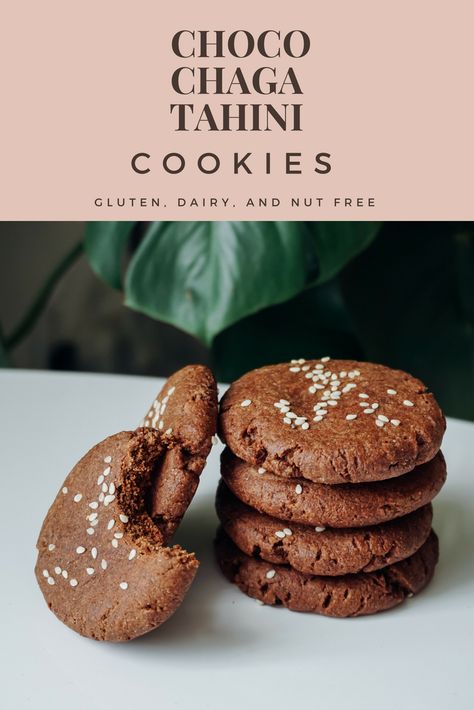 Choco Chaga Tahini Cookies (GF, DF) Recipe — living minnaly Raw Cookies, Chaga Recipes, Chaga Mushroom Recipes, Mushroom Dessert, Tahini Cookies, Chaga Mushroom, Gut Healing Recipes, Nut Free Recipes, Superfood Recipes