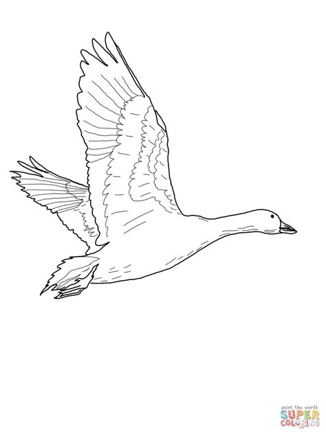 Goose Drawing, Goose Tattoo, Fly Drawing, P Tattoo, Snow Goose, Lino Art, Art Sketches Doodles, Seashell Painting, Truck Coloring Pages