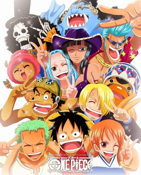 One Piece Straw Hats, Coco Martin, Jack One Piece, One Piece Crew, One Piece Wallpaper Iphone, Troll Face, One Piece Drawing, Cool Wallpapers Cartoon, One Piece Comic