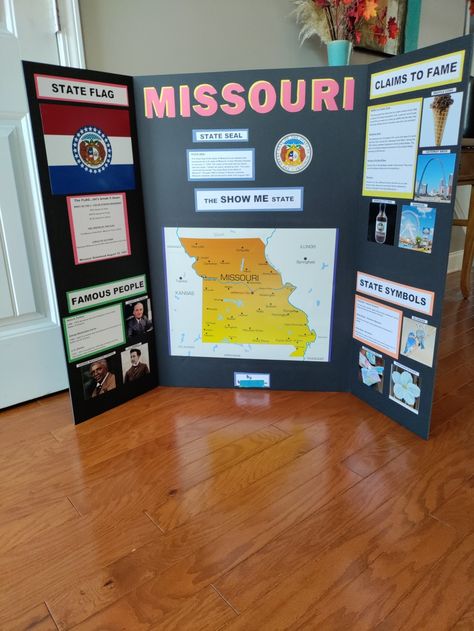 State Poster Board Project, Culture Project Ideas, Posterboard Projects For School, Geography Display, Tri Fold Poster Board, Trifold Board, Tri Fold Poster, State Project, Presentation Ideas For School