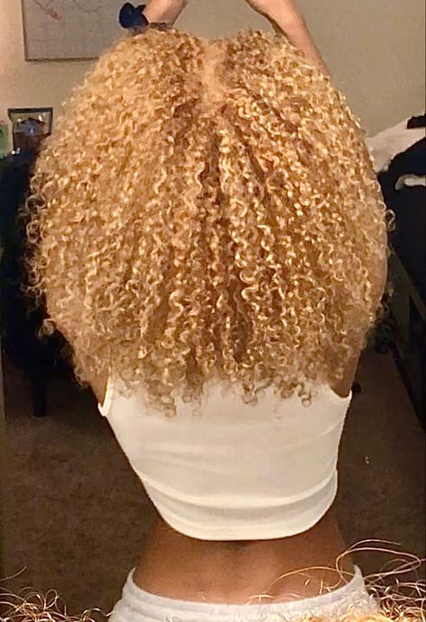 Natural Curly Blonde Hair Black Women, Different Shades Of Blonde Curly Hair, Honey Blonde Hair On Black Women Natural 4c, Honey Blonde Big Chop, Light Honey Blonde Hair On Black Women, Mixed Curly Hair Blonde, Honey Blond Curls, Blonde Hair On Natural Hair, Bleaching Hair At Home Black Women