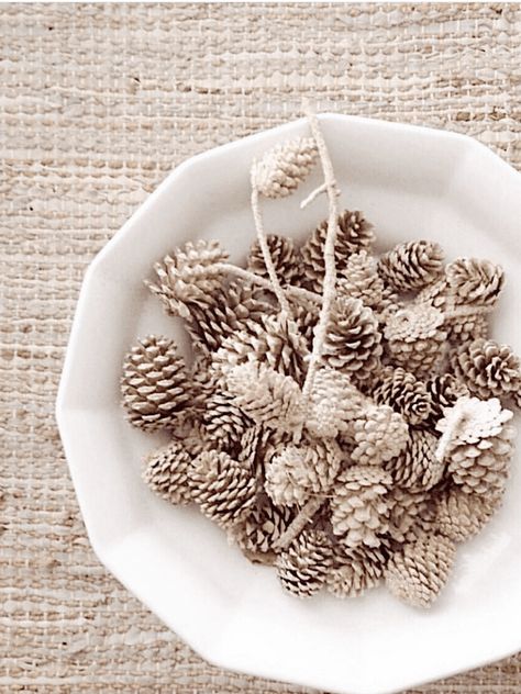 I just love using different textures and natural elements in my home decor, and several years ago I had the idea to try bleaching pinecones. Even though they are neutral already, I thought it would be fun to see if I could get them a lighter color. I want to share an easy process of how to bleach pinecones with you. These bleached pinecones make a beautiful addition to your fall or holiday decor. Pile them in a big bowl, or add them to a wreath or mantel garland. Bleached Pinecones, Bleach Pinecones, Thrift Flip Ideas, Mantel Garland, Succulent Pumpkin, Wednesday Friends, Pinecone Garland, Pine Cone Decorations, Fall Thanksgiving Decor