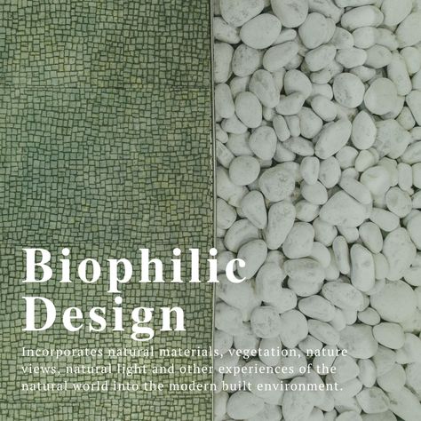 Biophilic Healthcare Design, Bio Philic Interior Design, Biophilic Texture, Biophilic Materials, Biofilia Interior Design, Biophilia Interior Design, Biophilic Design Interiors, Biophilia Design, Eco Design Interior