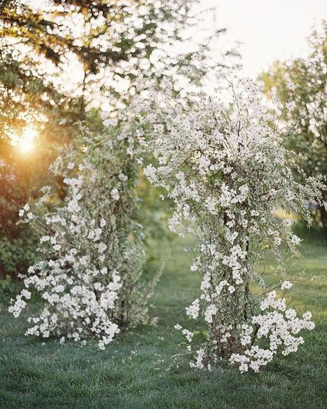 Wedding Arch White, Studio Mondine, Winter Wedding Ceremony, Aisle Flowers, Wedding Ceremony Arch, Wedding Ceremony Backdrop, Boho Wedding Inspiration, Wedding Ceremony Flowers, Boho Wedding Decorations