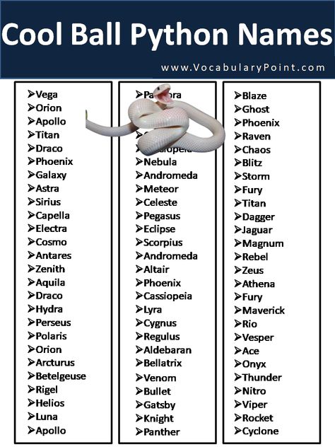 Finding the perfect name for your new ball python can be a daunting task. With so many different possibilities and names to consider, it can ... Read more The post 250+ Cool Ball Python Names appeared first on Vocabulary Point. Cute Snake Names, Ball Python Names, Snake Names Ideas, Pet Snake Names, Snake Terrarium Ideas Ball Python, Ball Python Terrarium Ideas, Ball Python Enclosure Ideas, Cute Ball Python, Snake Names