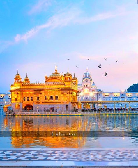 Punjab Culture, Golden Temple Wallpaper, Guru Nanak Photo, God And Goddess, Golden Temple Amritsar, Harmandir Sahib, India Travel Places, Temple India, Guru Pics