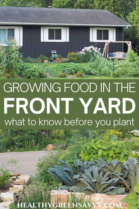 Looking for new places to grow vegetables? If you've considered growing vegetables in the front yard but worried about what the neighbors will think, these front yard vegetable garden ideas from folks who've done it will inspire you to take the plunge. | edible landscaping | foodscapes | front yard gardening | gardening tips | gardening ideas | grow your own | Veggie Garden Front Yard, Front Yard Foodscape, Front Yard Veg Garden, Front Yard Kitchen Garden Ideas, Front Yard Farming, Edible Front Garden, Front Lawn Garden Vegetable, Urban Front Yard Vegetable Garden, Turn Your Front Yard Into A Garden