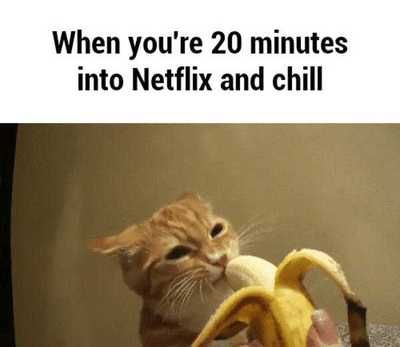 Relationship Apps, Inappropriate Memes, Couple Memes, Inappropriate Thoughts, Dirty Memes, Netflix And Chill, Funniest Memes, Funny Cat Pictures, Cute Memes