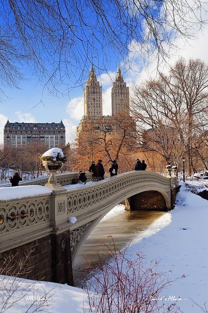 Shopping In New York, Voyage New York, Nyc Christmas, Nyc Life, New York Life, Winter Scenery, Nyc Trip, Winter Aesthetic, City Aesthetic