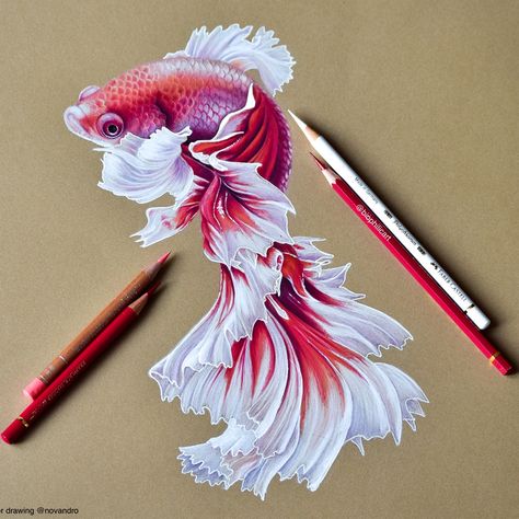 Prismacolor Art, Colored Pencil Artwork, Fish Drawings, Pencil Art Drawings, Color Pencil Art, Arte Animal, A Pencil, Painting Art Projects, Pencil Illustration