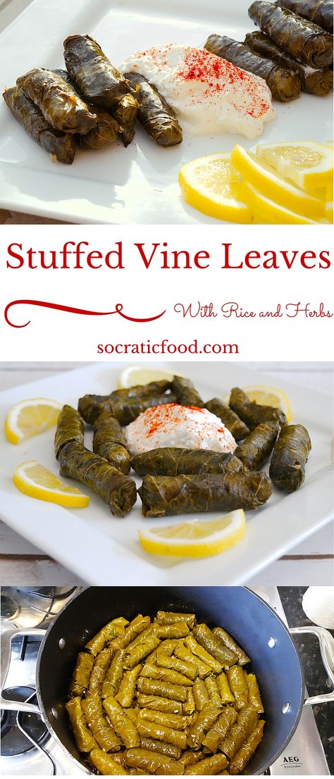 Stuffed Vine Leaves (Dolma Yalanci) Stuffed Vine Leaves, Macedonian Food, Food Simple, Food Meat, Things To Eat, Food Tags, Vine Leaves, Arabic Food, Meat Free