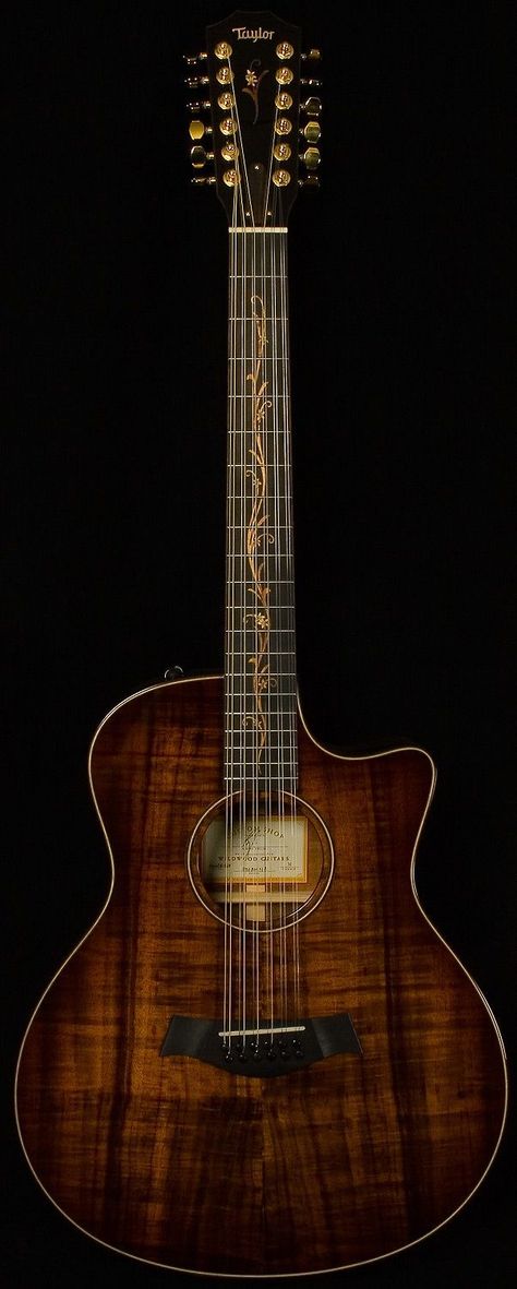 12 String Acoustic Guitar, Acoustic Guitar For Sale, 12 String Guitar, Guitars Acoustic, Taylor Guitars, Taylor Guitar, Martin Guitar, Best Acoustic Guitar, Guitar Collection