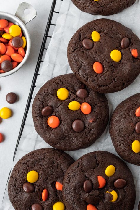 These soft and chewy chocolate peanut butter cookies are easy to make and are packed with tons of Reese's Pieces candies. Chocolate Reese’s Pieces Cookies, Chocolate Cookies With Reese’s Pieces, Easy Reese’s Pieces Cookies, Reeces Pieces Cookie, Reese’s Pieces Cookies, Reese’s Cookies, Reeses Aesthetic, Cookies Reeses, Reese's Pieces Cookies