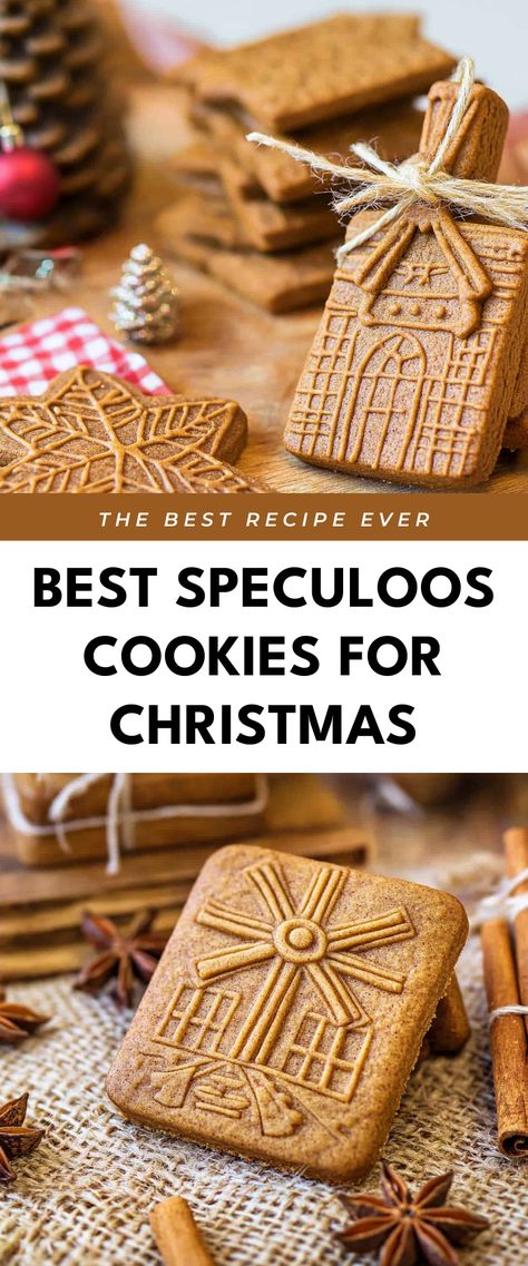 Image for Best Speculoos Cookies for Christmas Holiday Cookie Gift, Cookies For Christmas, Speculoos Cookies, Christmas Cookie Box, Easy To Bake, Christmas Shortbread, Cookie Gift Box, Best Christmas Recipes, Christmas Spices