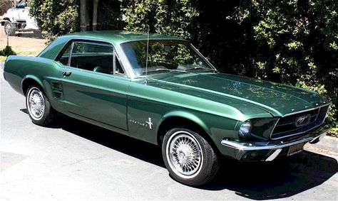 1967 Mustang Paint Colors Dark Moss Green Dark Green Car Aesthetic, Dark Green Mustang, Unique Car Colors, 70s Bronco, Dark Green Car, Green Mustang, Mustang 65, Mustang 1964, Ford Mustang 1967