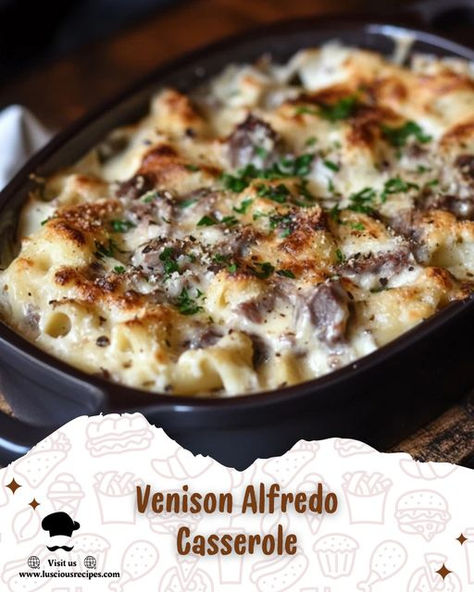 Savor the rich flavors of venison and creamy Alfredo in this hearty casserole. Perfect for family dinners, this comforting dish will quickly become a household favorite. Creamy Venison Alfredo Pasta Bake, Deer Casserole Recipes, Venison Alfredo Pasta, Venison Casserole, Alfredo Pasta Bake, Alfredo Casserole, Deer Recipes, Hearty Casseroles, Venison Recipes