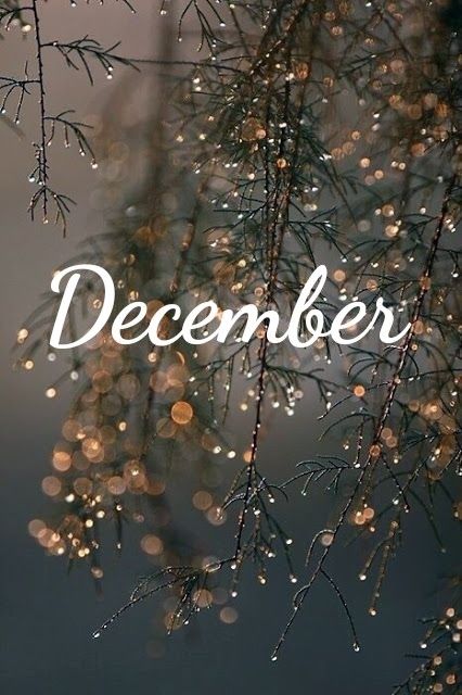 December Wallpaper Iphone, Notion Board, December Images, December Wallpaper, Happy New Year Message, Xmas Wallpaper, Hello December, Christmas Phone Wallpaper, Cute Christmas Wallpaper