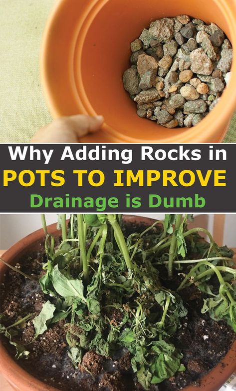 Rock Drainage, Transplanting Plants, Planting Pots, Drainage Solutions, Planting Pot, Grow Herbs, Pea Gravel, Gardening Inspiration, Great Grandparents