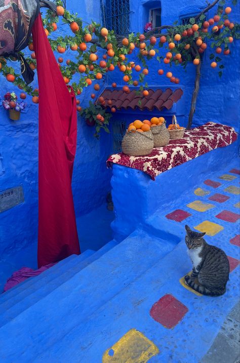 Morroco Blue City, Blue City Morocco, Moroccan Aesthetic, Moroccan Inspiration, Arab Culture, Colorful Places, Moroccan Blue, Morocco Travel, Blue City