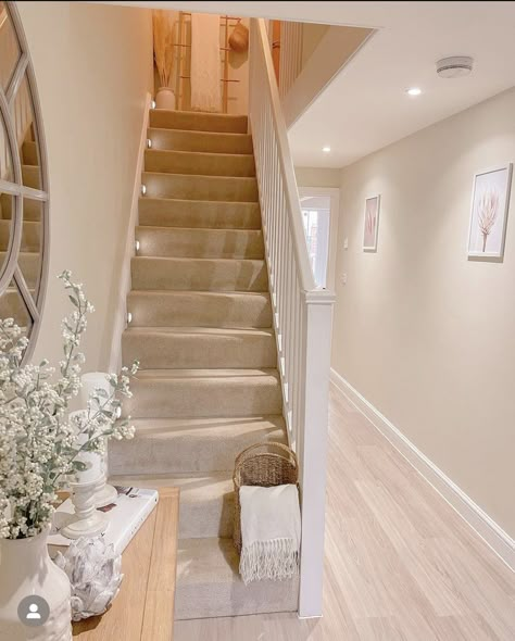 Stairs And Landing Decor, Hall Ways Ideas, Stairs And Hallway Ideas, House Renovation Design, Have A Lovely Evening, Staircase Interior Design, House Staircase, Narrow Hallway Decorating, Latest Living Room Designs