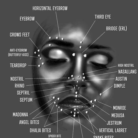 Face Piercing Chart, Black and White Piercing No Rosto, Piercings Corps, Piercing Facial, Spiderbite Piercings, Facial Piercing, Bridge Piercing, Types Of Facials, Ear Piercings Chart, Piercing Chart