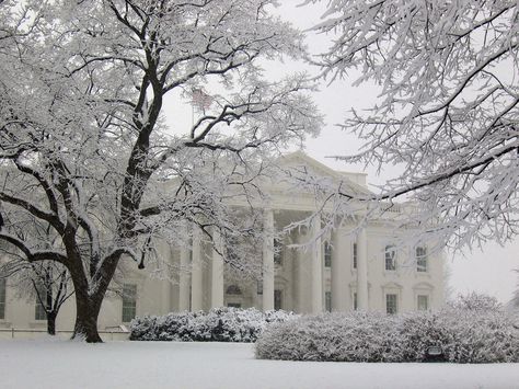 DC Snow 1: Whiter Than the White House | by little-wings White House Aesthetic, White House Usa, Perimeter Fence, Photos Snow, White House Washington Dc, Snow Photos, Architecture Styles, Visit Dc, Snow Images