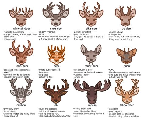 Types Of Deer, Axis Deer, Unusual Animal Friendships, Animal Friendships, Personality Chart, Deer Art, A Monkey, Creature Drawings, Concept Art Drawing