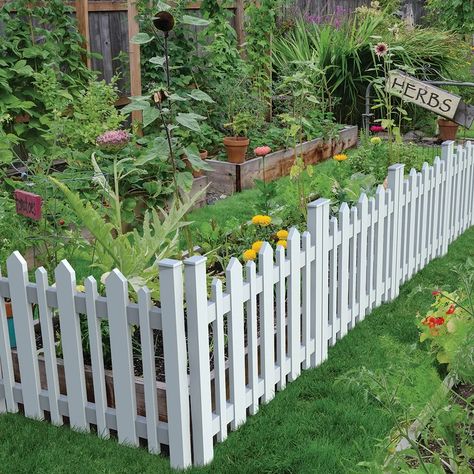 Xpanse 2.5 ft. H x 3 ft. W Picket Accent Fence & Reviews | Wayfair Wood Garden Edging, Garden Edging Ideas, Small City Garden, Vinyl Railing, Wood Fence Design, Garden Fence Panels, Dig Gardens, Funny Shorts, Wood Garden