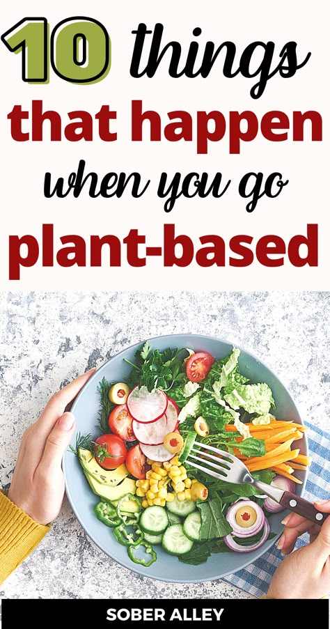 Whole Plant Based Diet, Whole Plant Based, Plant Based Diet Meals, Plant Based Meal Planning, Plant Based Diet Meal Plan, Plant Based Meal, Plant Based Foods, Healthy Plant Based Recipes, Plant Based Diet Recipes