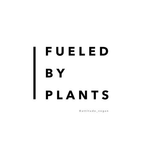 Plantaholic Quotes, Vegetarian Aesthetic Quotes, Wfpb Aesthetic, Vegan Quotes Positive, Vegan Moodboard, Plant Based Quotes, Vegan Lifestyle Aesthetic, Plant Based Aesthetic, Veganism Quotes