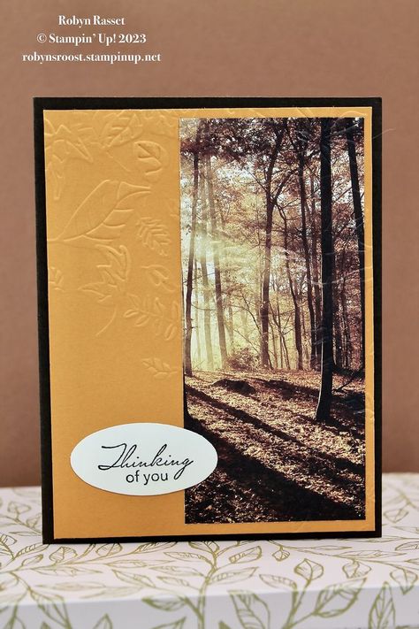 Leaf Fall Embossing Folder, Card Making Ideas For Beginners, Fall Cards Handmade, Thanksgiving Cards Handmade, Card Making Ideas Easy, Gratitude Cards, Nature Card, Leaf Cards, Before Running