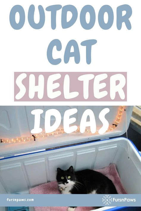 Outdoor Cat Shelter Ideas How To Make A Feral Cat Shelter, Feral Cats Shelter, Feral Cat Shelter Diy, Homemade Outdoor Cat Shelter, Diy Heated Cat House, Outdoor Cat House For Winter Diy, Tire Cat House Outdoor, Outdoor Cat Shelter Diy Winter, Diy Outdoor Cat Shelter Winter