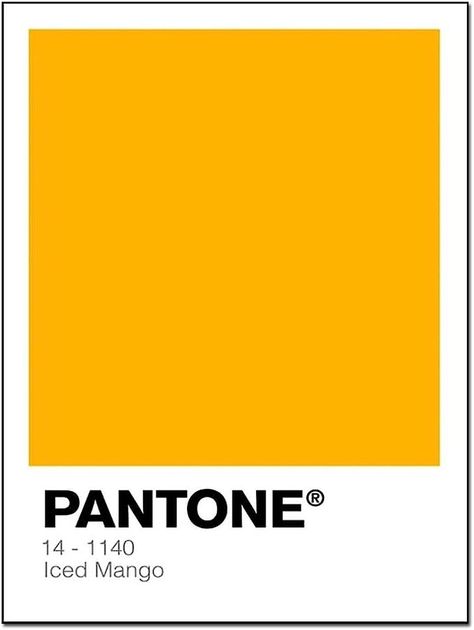 Amazon.com: Custom Poster Pantone Color Card Poster (4) Office Decor Canvas Wall Art Prints for Wall Decor Room Decor Bedroom Decor Gifts 16x20inch(40x51cm) Unframe-Style-1: Posters & Prints Card Poster, Custom Poster, Decor Canvas, Canvas Wall Decor, Canvas Designs, Custom Posters, Room Wall Decor, Pantone Color, Color Card