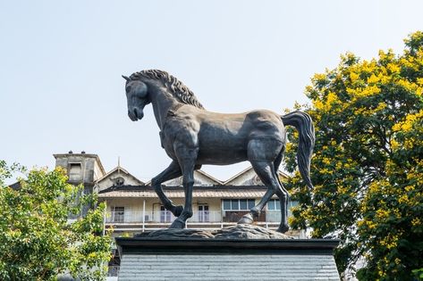 Kala Ghoda in Mumbai - History, Festival, Things to Do, Attractions (2021) Kala Ghoda Mumbai, Sabudana Recipes, Tiger Sculpture, South Mumbai, Mumbai Travel, Veg Restaurant, Sidewalk Art, Cafe House, Art District